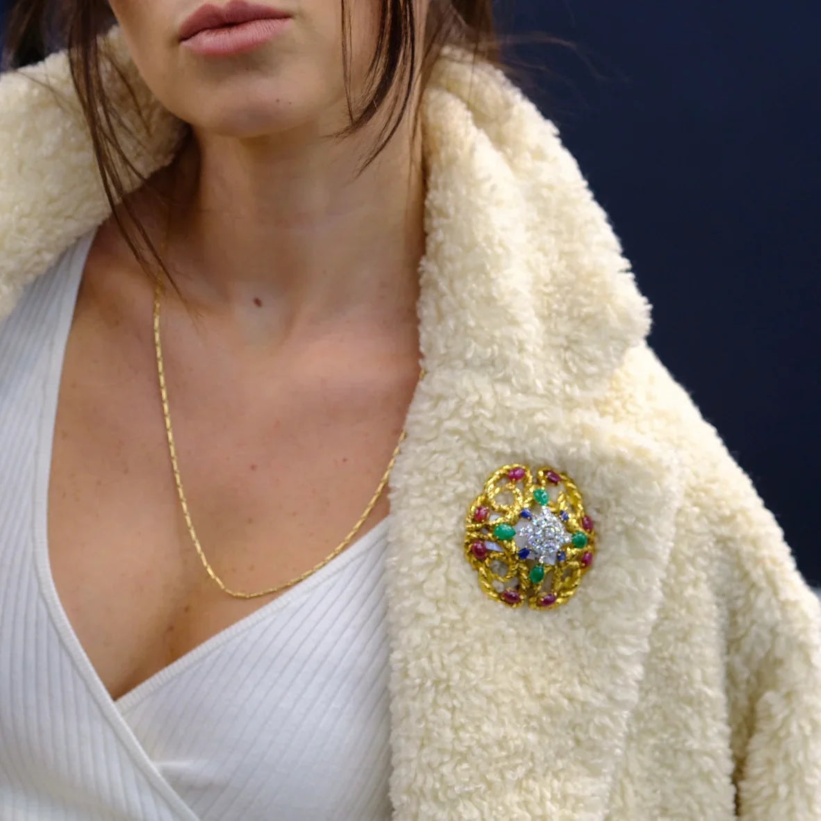 David Webb Platinum & 18K Yellow Gold Multigem Emerald, Ruby And Diamond Brooch — view 8 — Laura Milman New York