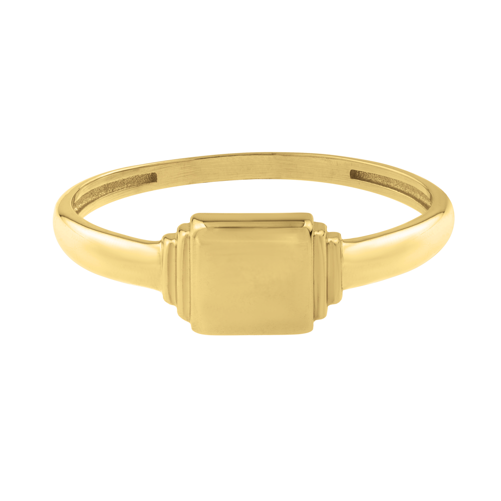 Mini Signet Ring in 14K Yellow Gold — Laura Milman New York