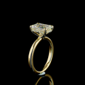 Emerald Shape Hidden Halo Engagement Ring (Lab Grown) - Laura Milman New York