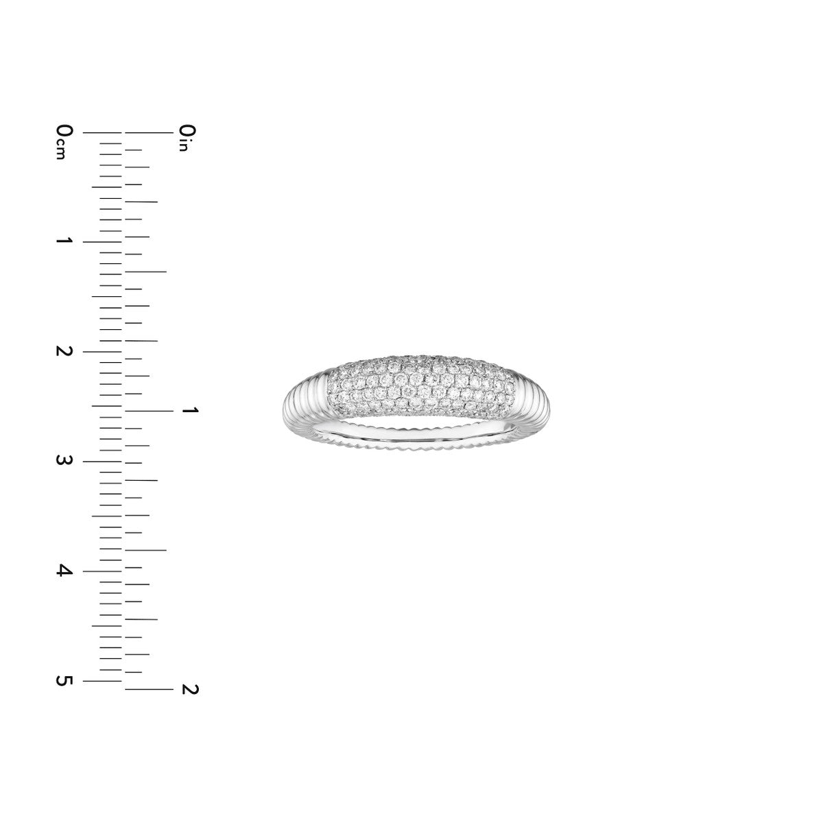 14K Gold Diamond Diamond Pave Ribbed Dome Ring (White Gold)