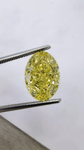 Fancy Intense Yellow Oval Diamond Ring in Platinum and 18K Yellow Gold view 5