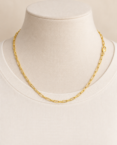 2.5mm Paperclip Chain Necklace in 14K Yellow Gold — on-body view